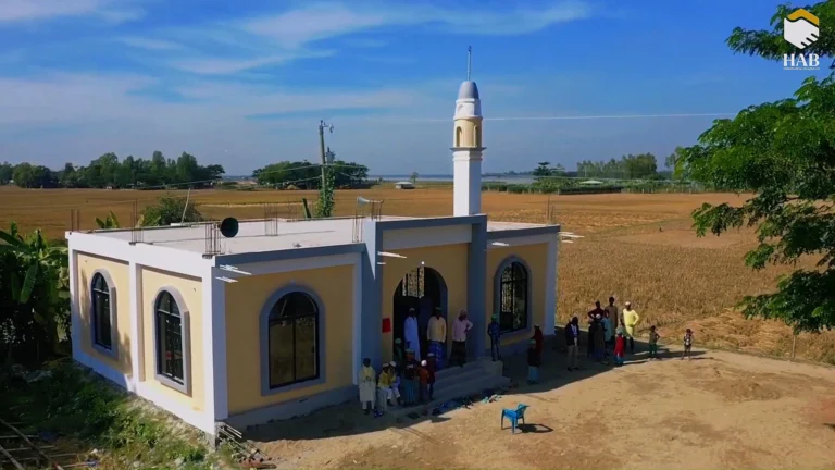 Instagram post from humanappealbd. This post is in position 0.