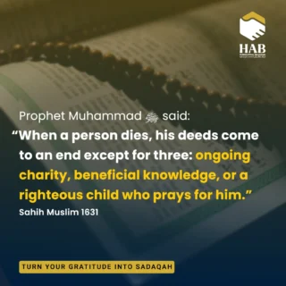 Instagram post from humanappealbd. This post is in position 1.