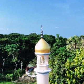 Instagram post from humanappealbd. This post is in position 1.