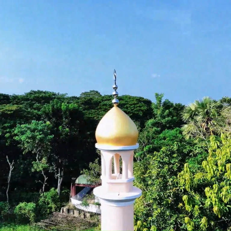 Instagram post from humanappealbd. This post is in position 0.