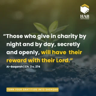 Instagram post from humanappealbd. This post is in position 1.