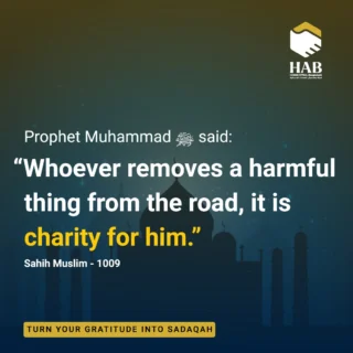 Instagram post from humanappealbd. This post is in position 1.